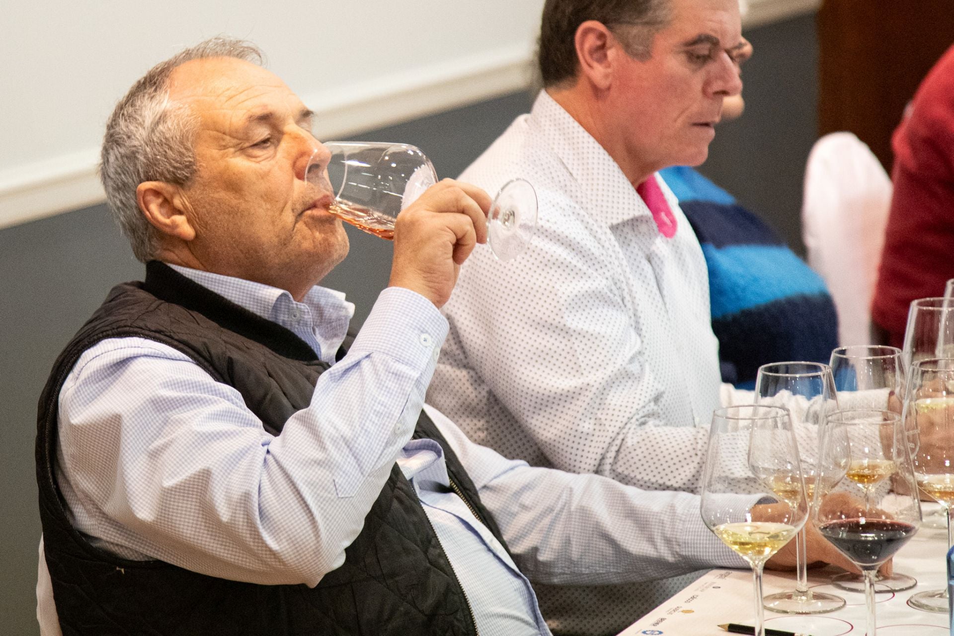 Las imágenes de la cata de Alonso &amp; Pedrajo