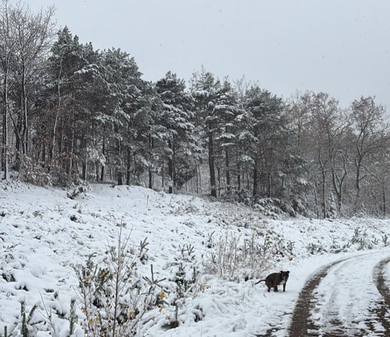 Sojuela, a mediodía.