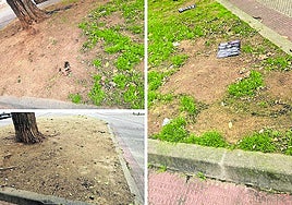 Autobuses, pasos elevados, buenas iniciativas... hoy en el Teléfono del Lector