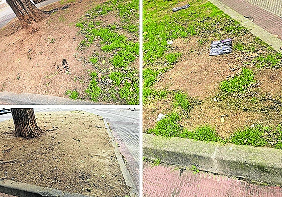 Autobuses, pasos elevados, buenas iniciativas... hoy en el Teléfono del Lector