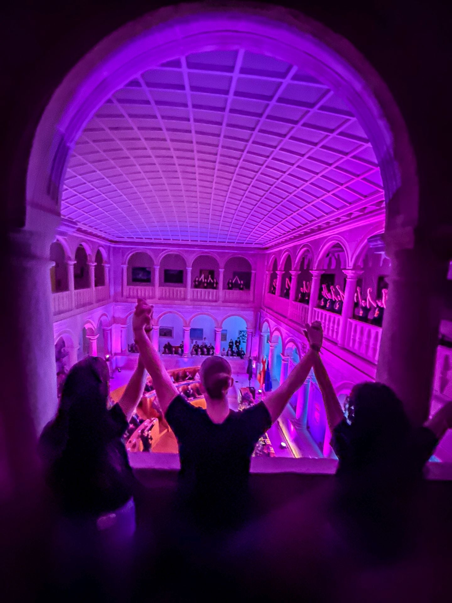 Acto institucional del Día Internacional de la Eliminación de la Violencia contra la Mujer