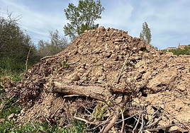 Soto arrasado el pasado año para el festival Holika.