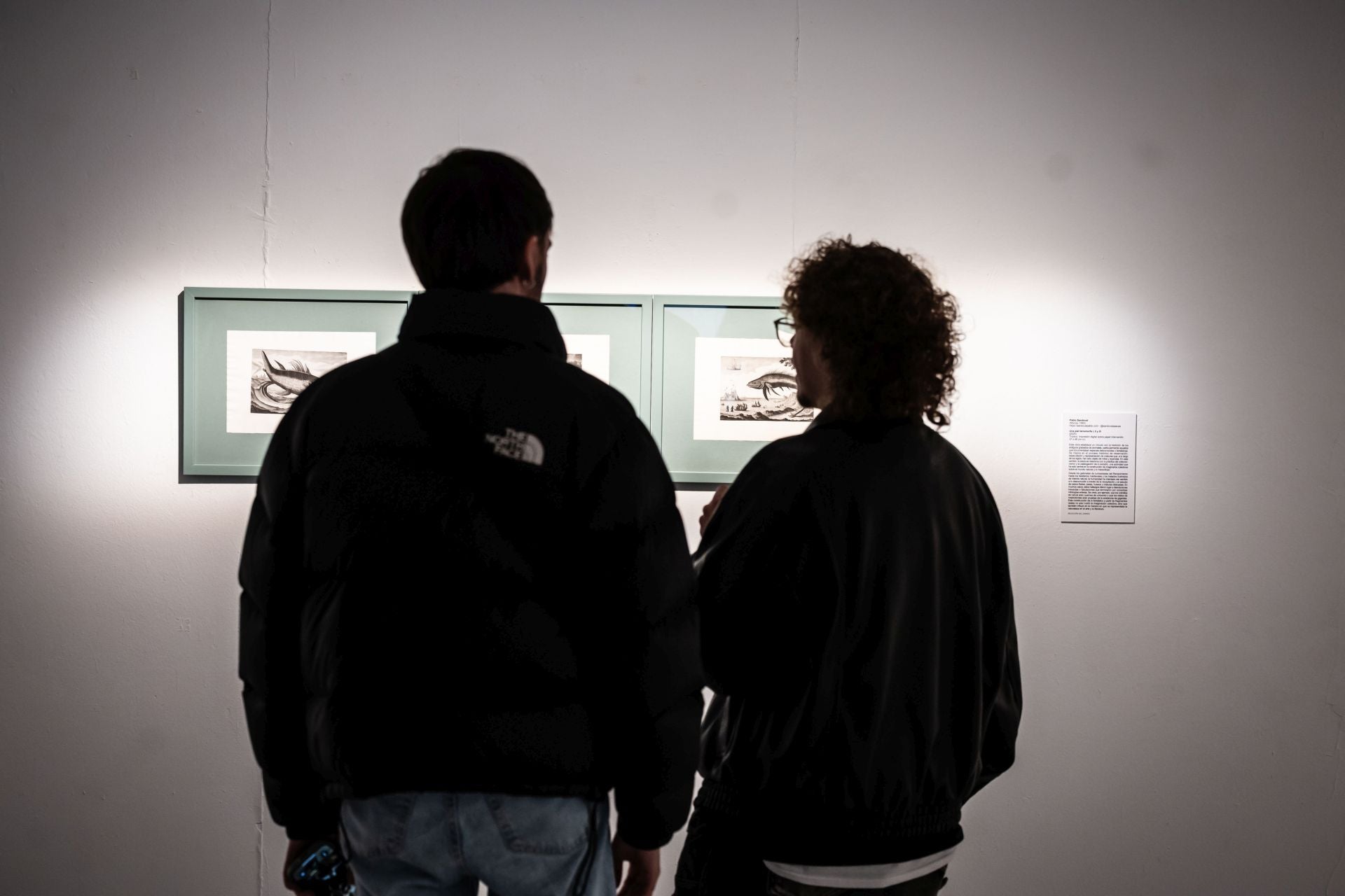 Las muestra de Arte Joven en La Rioja, en imágenes