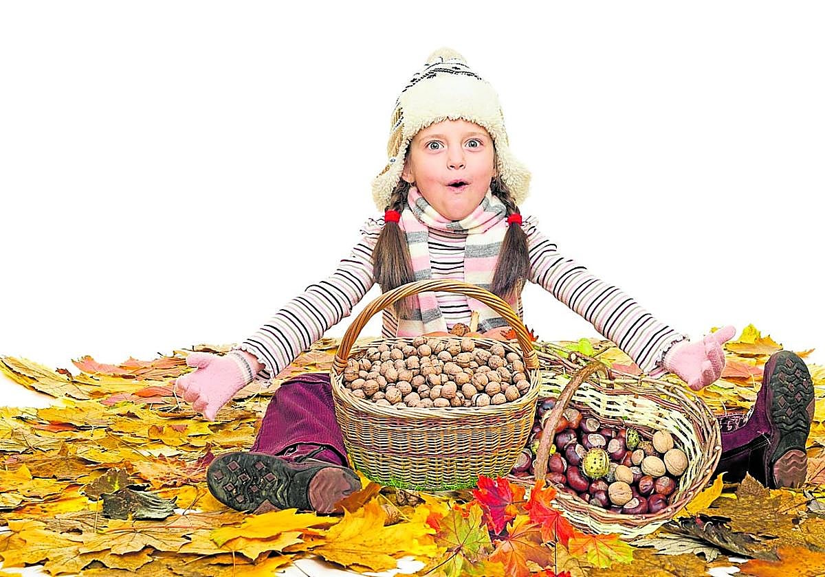 Castañas y nueces, frutos secos del otoño con interesantes propiedades