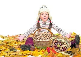 Castañas y nueces, frutos secos del otoño con interesantes propiedades