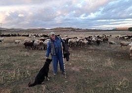 Jesús García Escudero 'Monín' con su ganado en Aldeanueva de Ebro.
