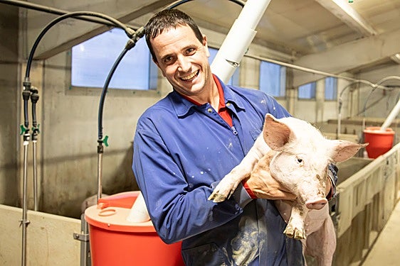 El ganadero Isidro Ramos atiende a sus cerdos de la Granja Los Palomos de Valverde (Cervera).