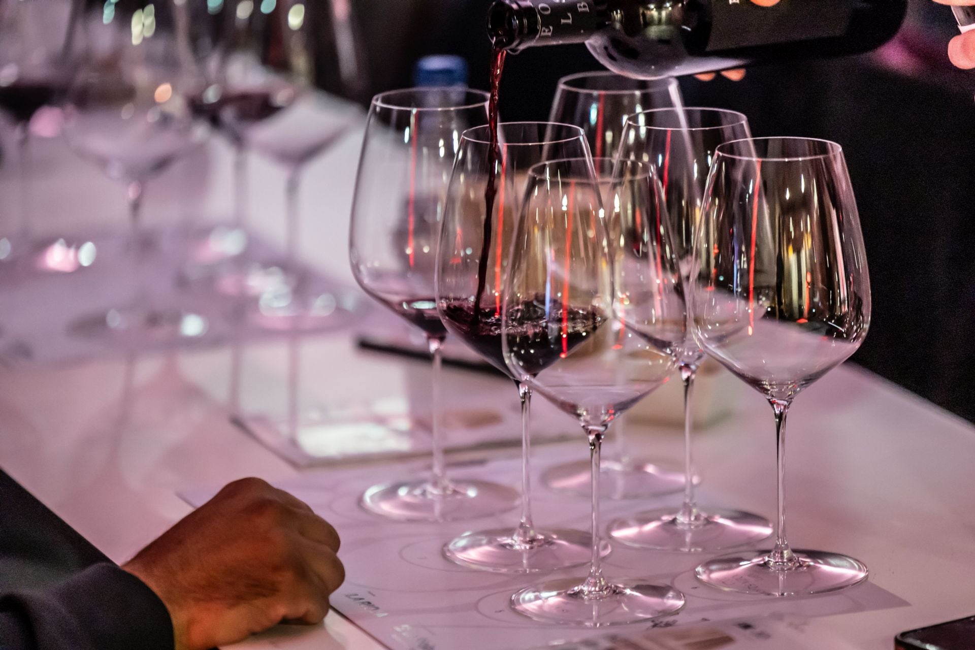 Las mejores imágenes de &#039;Dos generaciones y un destino: la viña&#039;