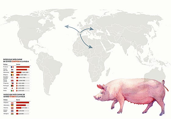 La Rioja se juega unos 100 millones al año en exportaciones por la peste porcina africana