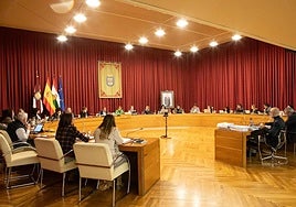 Imagen de la sesión del pleno de este jueves, 4 de diciembre.