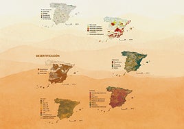 Una viña riojana equipada con un sistema de riego por goteo