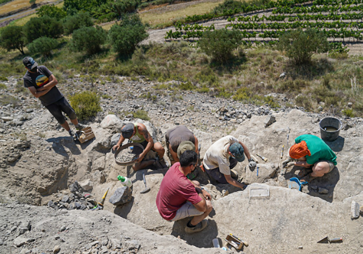 adrián Páramo en el Yacimiento Las Cerradas en Igea este verano.