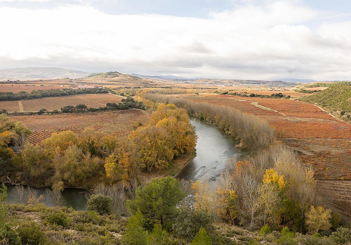 AEMET: otoño muy cálido y seco en La Rioja e invierno templado | La Rioja