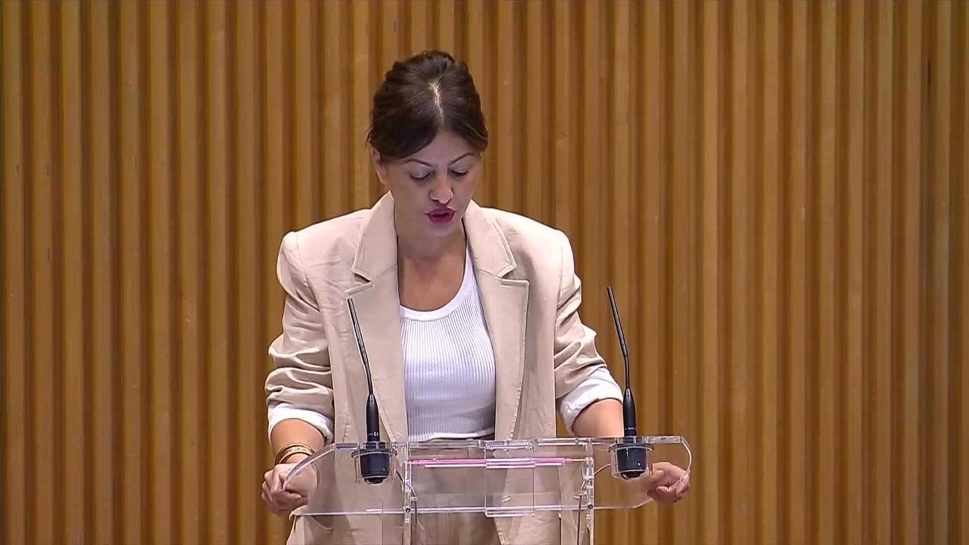 Rego llama a no conformarse con "sistemas imperfectos" que traen desafección en los jóvenes