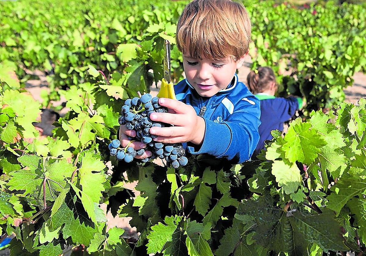 El vino pide protagonismo fuera de la bodega
