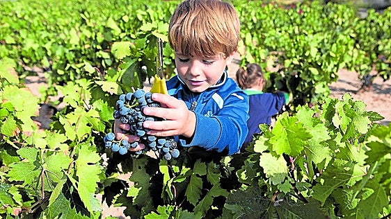 El vino pide protagonismo fuera de la bodega