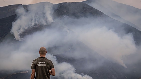 Un agente forestal observa el incendio de Ayabarrena.