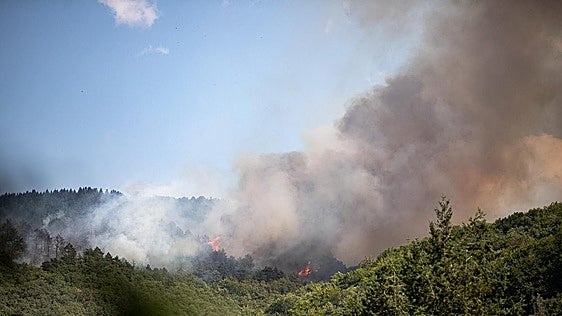 Declarado un incendio en Ojacastro