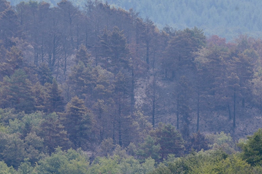Las imágenes del día después del incendio en Ojacastro