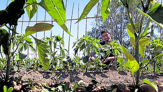La Rioja incrementó un 5,7% las hectáreas de cultivo ecológico en 2025