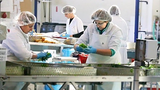 Más de 3.000 operarios de conservas vegetales, llamados a la huelga ante la falta de convenio