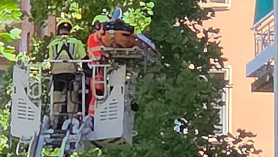 Los bomberos rescatan por la ventana a una mujer herida en Vara de Rey