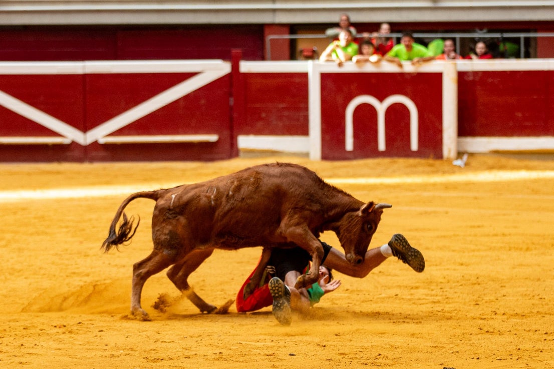 Caídas, revolcones y muchas risas durante las vaquillas