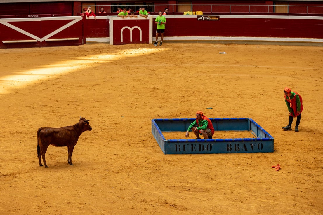 Caídas, revolcones y muchas risas durante las vaquillas