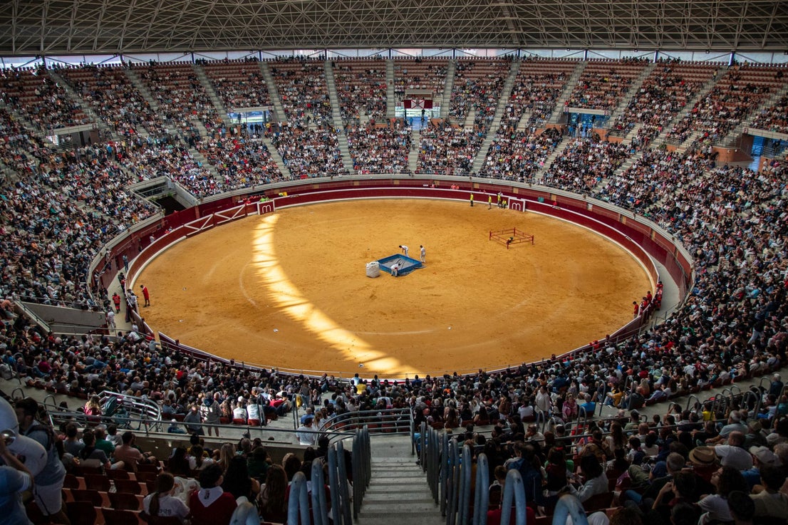 Caídas, revolcones y muchas risas durante las vaquillas
