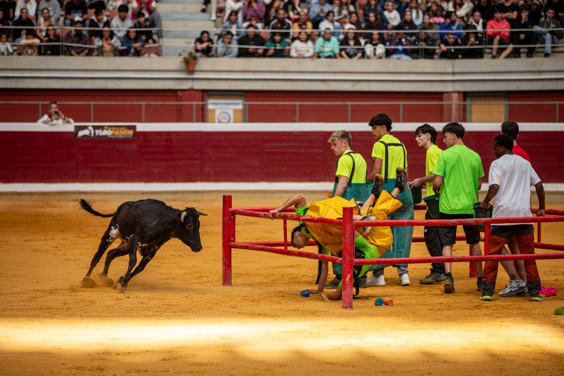 Caídas, revolcones y muchas risas durante las vaquillas