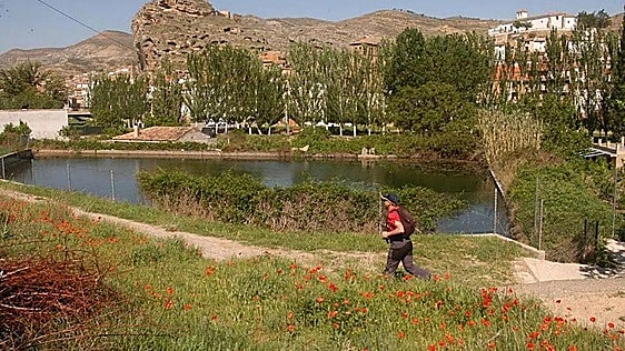 Cortes por las obras en el Camino Verde de Cervera