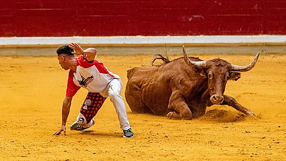 El concurso de recortes pone el broche taurino a las Fiestas de San Mateo
