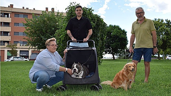 Pasear a los perros con carro, una necesidad, no una «pijería»