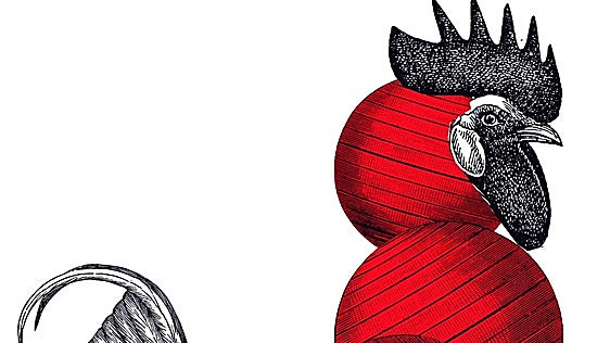 La anatomia perdida del pollo
