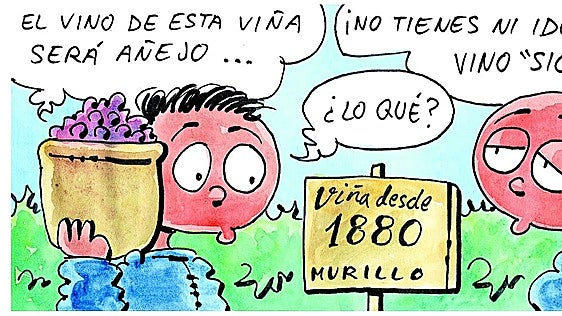 La vendimia en el viñedo más antiguo, según Tris