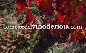 La información más completa sobre los vinos y bodegas de Rioja