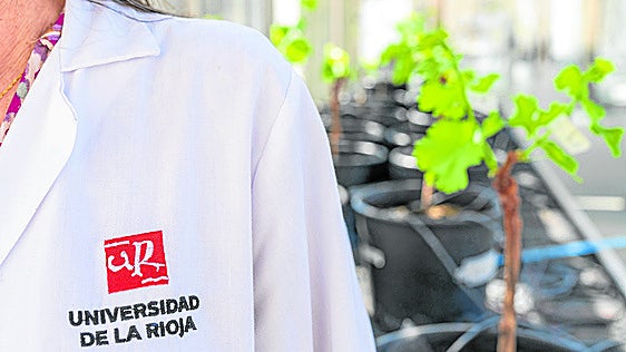 La Universidad de La Rioja forma el talento del futuro