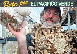 El señor de los hongos