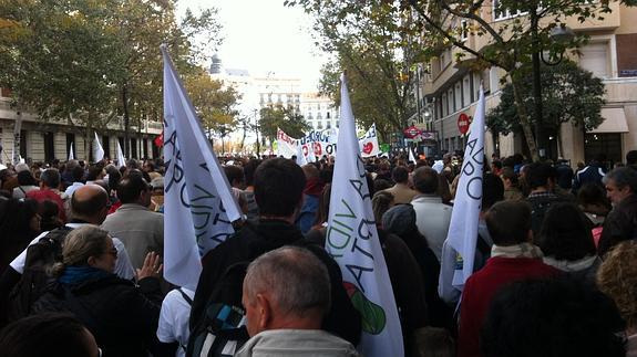 Imagen de una manifestación provida celebrada el año pasado en Madrid.