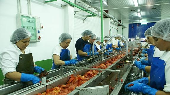 Varias mujeres trabajan en una empresa alimentaria.