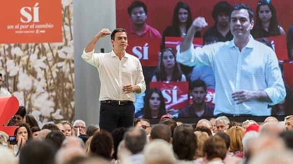 El candidato socialista a la Presidencia del Gobierno, Pedro Sánchez, en Palma.