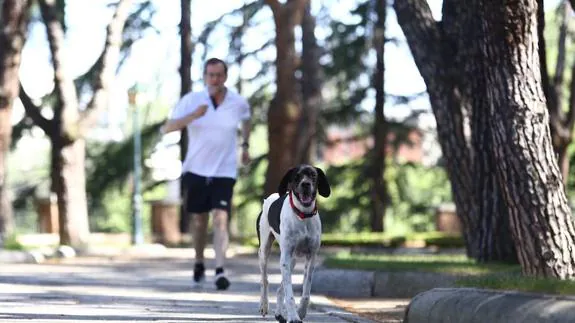 Mariano Rajoy, haciendo deporte junto a su perro.