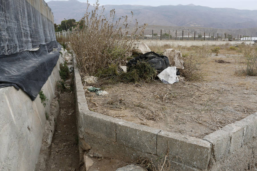 La acequia donde han aparecido los restos