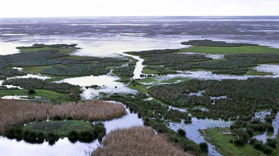 Parque Nacional de Doñana, en Huelva.