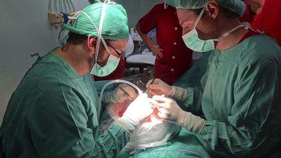 Cirujanos realizando un trasplante de pulmón.