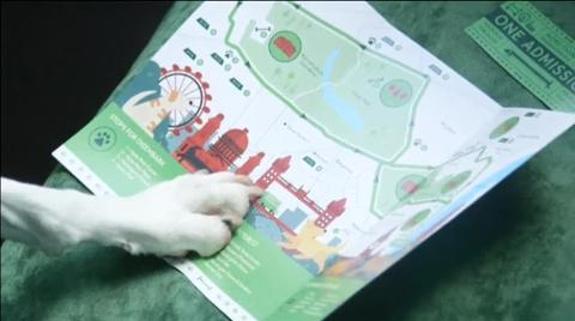 Un perro pone su pezuña en un mapa. 