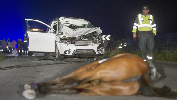Una mujer y el caballo que montaba fallecieron el sábado en Vilalba (Lugo) tras ser alcanzados por un vehículo.