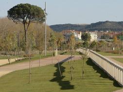 Parque del Iregua. /J.R.