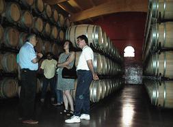 Visita a una de las bodegas en Aldeanueva de Ebro, en La Rioja Baja, coincidiendo con la celebración del 'día del vino'. /E. P.