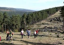 Turismo potenciará las actividades de voluntariado y para discapacitados en la Sierra de Cebollera